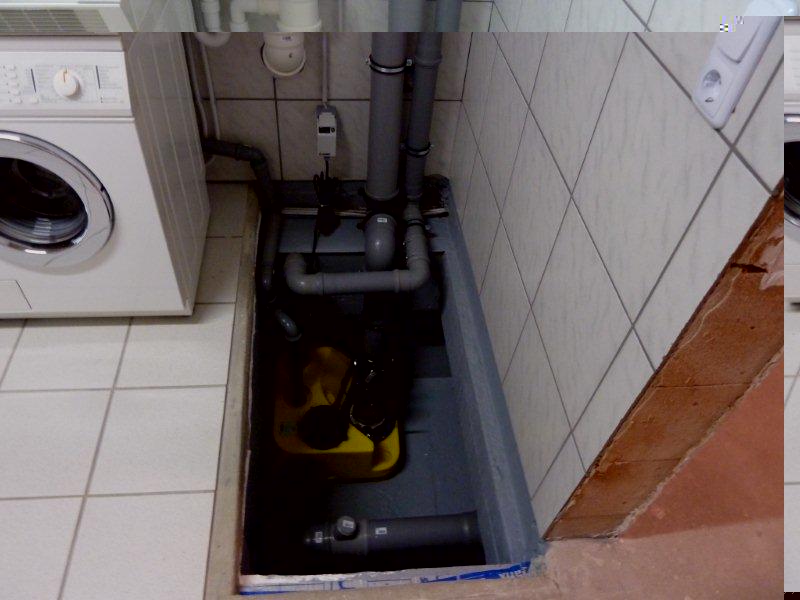 P1010880.jpg