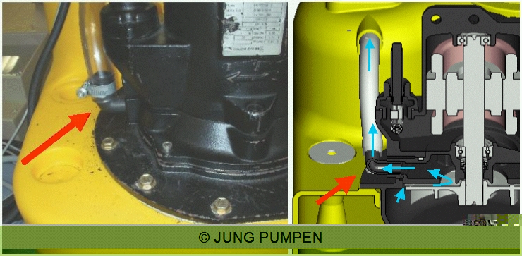 compli-entl-bypass.jpg