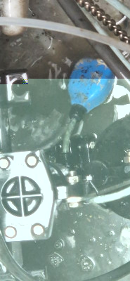 20250904_165257.jpg